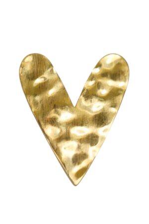 hart broche groot
