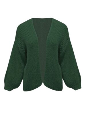 Grof gebreide vest groen